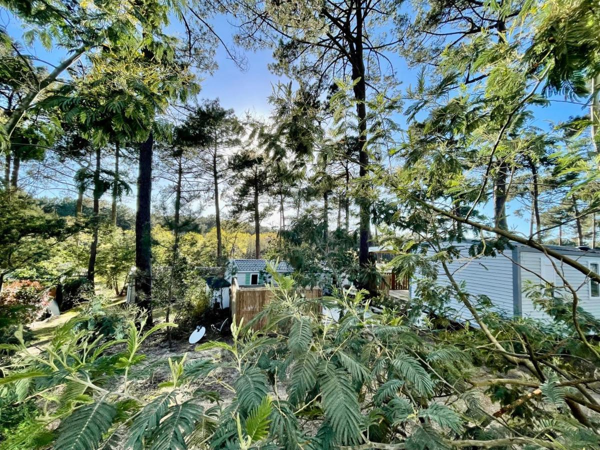 Tiny House Famille Nature Cap Ferret Claouey Buitenkant foto