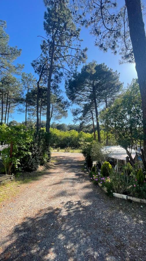 Tiny House Famille Nature Cap Ferret Claouey Buitenkant foto
